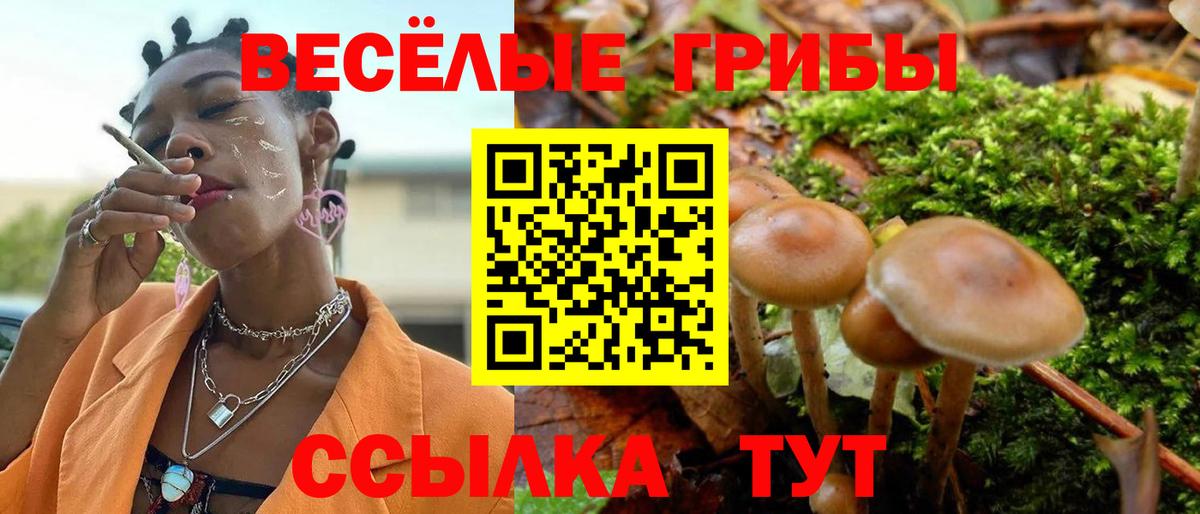 Псилоцибиновые грибы Magic Shrooms Фролово