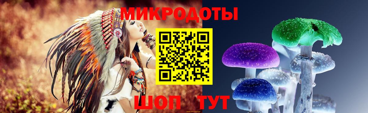 Фролово  Псилоцибиновые грибы Psilocybine cubensis  Вход с VPN 